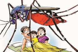 प्रदेश में हावी हो रहा डेंगू, जिले में मिले 70 से अधिक संक्रमित, स्वास्थ्य विभाग
में मचा हड़कंप - image