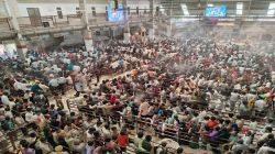 दूज को बाबा रामदेव समाधि दर्शन को उमड़ा आस्था का सैलाब - image