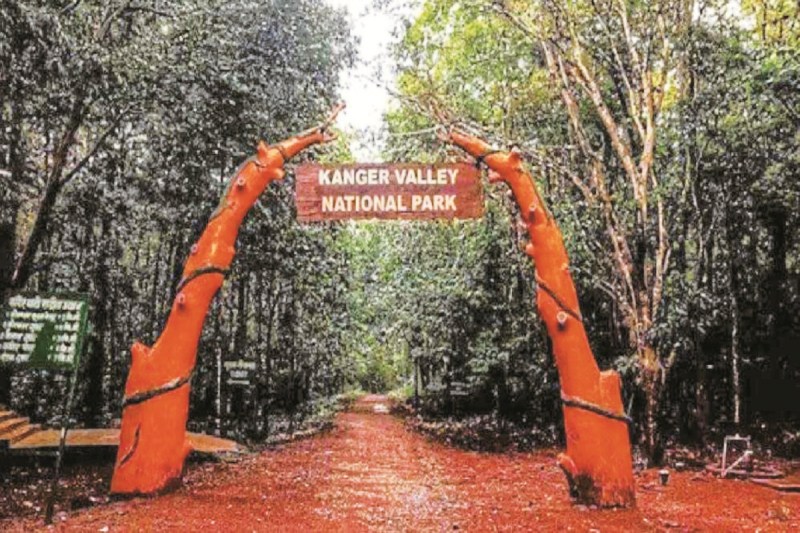 आज से कुटुमसर गुफा का द्वार होगा बंद (Photo source- Patrika)