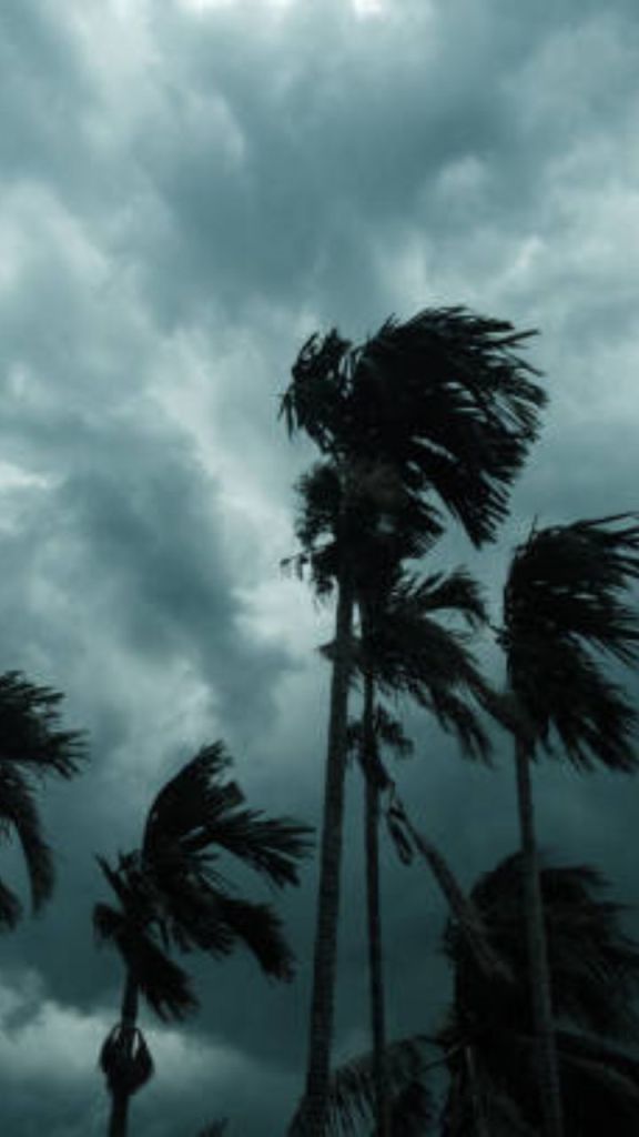CG News: IMD ने जारी किया येलो अलर्ट, भारी बारिश के आसार..