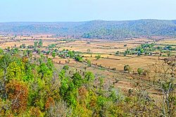 वनभूमि पर बढ़ते अवैध कब्जे, हरियाली की जगह खेतों ने ली जगह - image