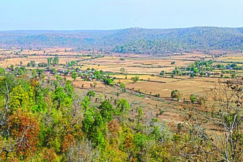 वनभूमि पर बढ़ते अवैध कब्जे, हरियाली की जगह खेतों ने ली जगह