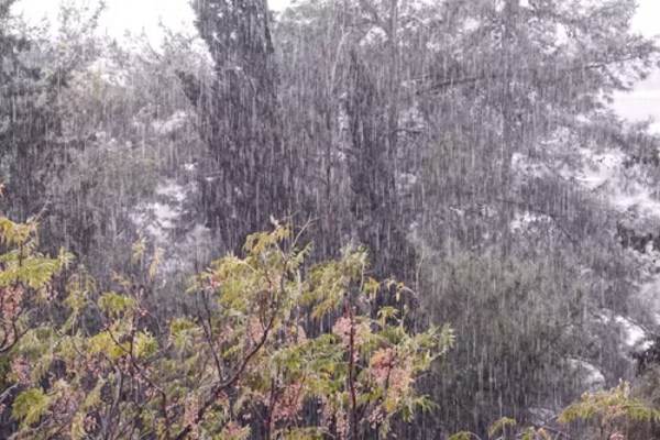 CG Monsoon 2025: मानसून का रौद्र रूप! अगले 3 दिनों तक इन जिलों में होगी भारी बारिश, Alert जारी
