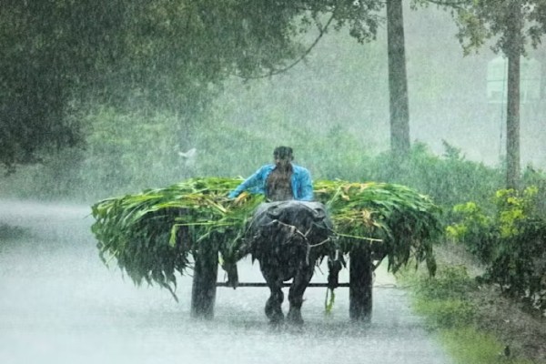 Monsoon 2025: मानसून की होगी धमाकेदार एंट्री! 15 जून को पूरे प्रदेश में बारिश का Alert, जानें आपके इलाके का क्या है हाल?
