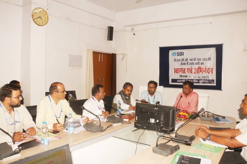 कलेक्टर की अध्यक्षता मे डीएलसीसी एवं डीएलआरसी की बैठक संपन्न, समय-सीमा में ऋण वितरण किए जाने के निर्देश