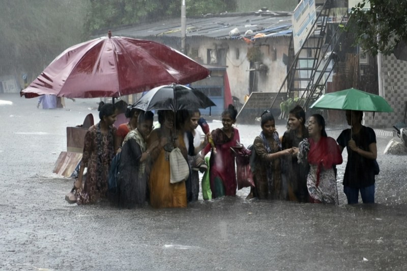 Monsoon News फोटो सोर्स : Patrika