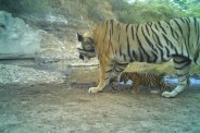 Kota News