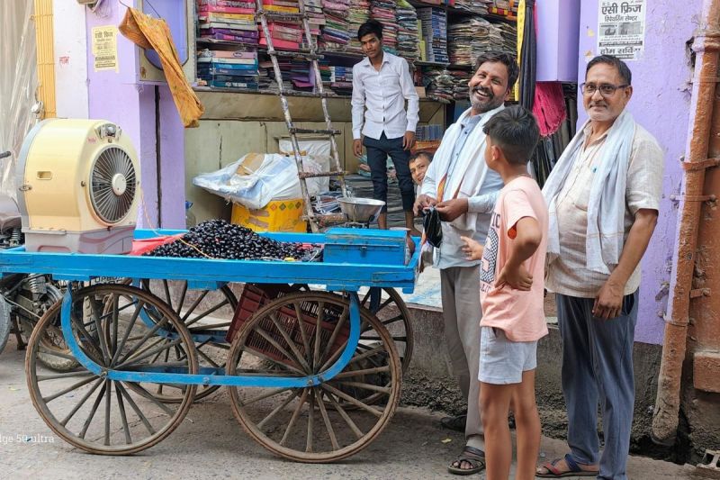 गर्मी से जामुन और खुद को बचाने का अनोखा जतन, ठेले पर लगा दिया कूलर A unique effort to save the berries and oneself from the heat, put a cooler on the cart