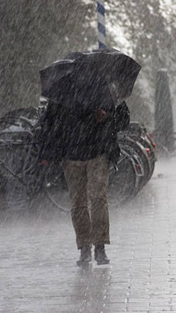 CG News: IMD ने जारी किया येलो अलर्ट, भारी बारिश के आसार..