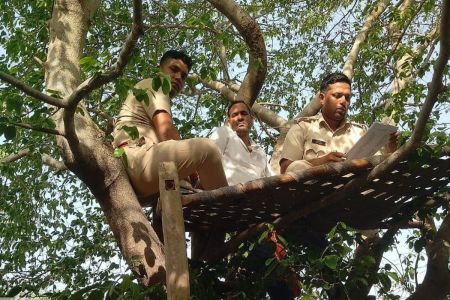 जिले में कितने वन्यजीव...जानने विभाग की गणना प्रारंभ The department has started counting to find out how many wild animals are there in the district