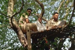 जिले में कितने वन्यजीव…जानने विभाग की गणना प्रारंभ - image
