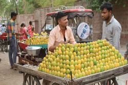 बाजार में दशहरी आम की धूम, ज्यादा पैदावार से गिरे भाव - image