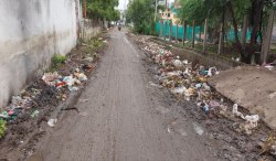 स्वच्छता अभियान की हकीकत उजागर करतीं वार्डों की गलियां - image