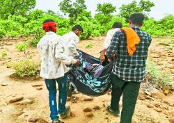 जंगल में मधुमक्खियों का हमला, एक दर्जन को मारे डंक - image
