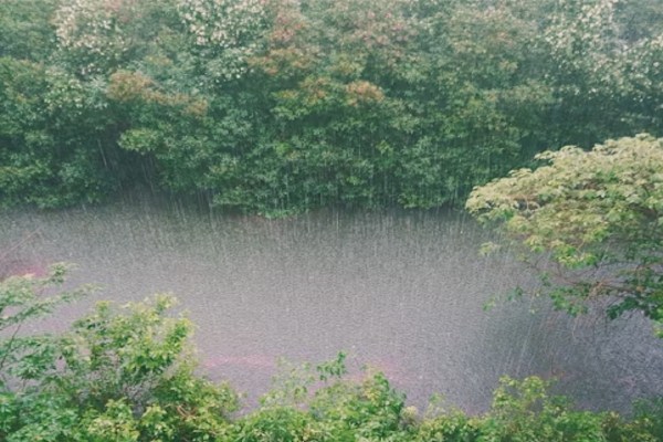 CG Weather Update: IMD का बड़ा अपडेट! अगले पांच दिनों तक इन इलाकों में होगी बारिश, Alert जारी