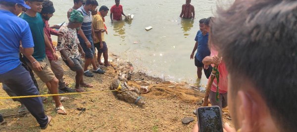 CG News:  मछली पकड़ते समय जाल में फंसा 5 फिट का मगरमच्छ, लोगों के उड़े होश, देखें तस्वीरें 
