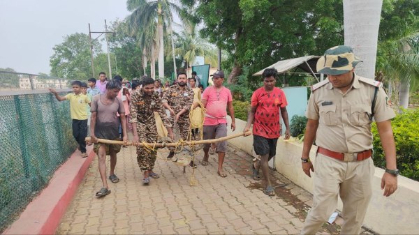 CG News:  मछली पकड़ते समय जाल में फंसा 5 फिट का मगरमच्छ, लोगों के उड़े होश, देखें तस्वीरें 
