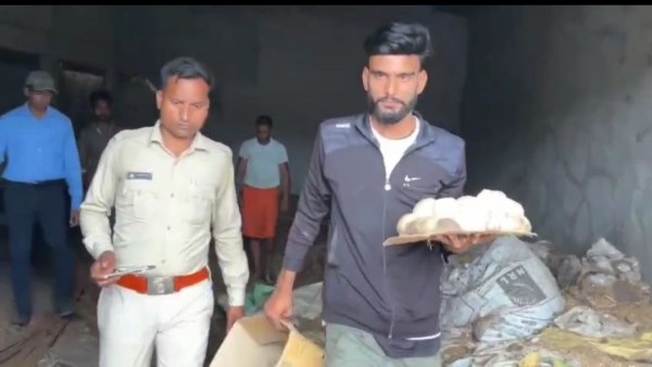 CG News: 25 अंडों के साथ लेटा था 10 फीट लंबा अजगर, स्नेकमैन और वन विभाग ने किया रेस्क्यू, देखें वीडियो 
