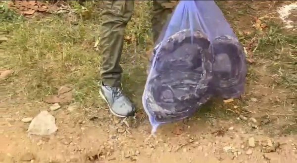 CG News: 25 अंडों के साथ लेटा था 10 फीट लंबा अजगर, स्नेकमैन और वन विभाग ने किया रेस्क्यू, देखें वीडियो 
