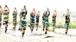 सेक्टर मुख्यालय से लेकर सीमा चौकियों तक बल के जवानों ने किया योगाभ्यास - image