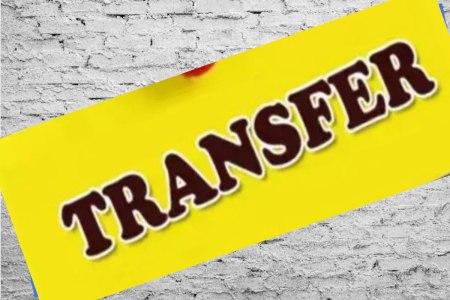transfers in mp 34 Patwaris and 64 secretaries transferred mp news (फोटो सोर्स- पत्रिका)