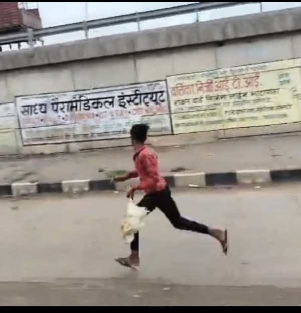 CG News: मुर्गियों से भरा वाहन पलटा, मुर्गी लूटने टूट पड़े लोग, देखें Photo..