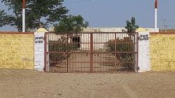 अंग्रेजी माध्यम के सरकारी विद्यालयों में भी खुले रहेंगे प्रवेश के द्वार - image