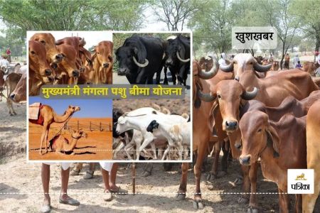 Mangala Animal Insurance Scheme