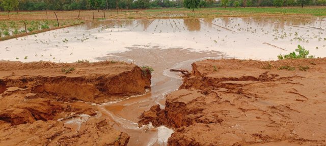 Heavy rains in Sriganganagar