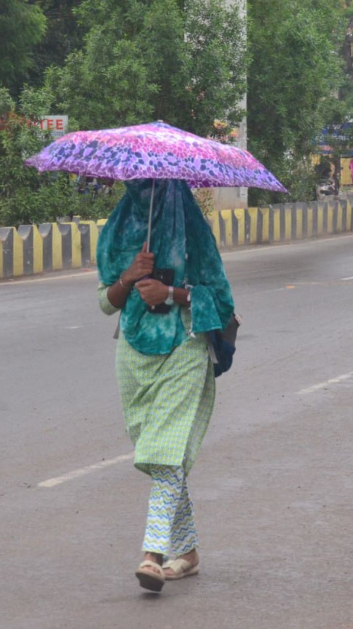 CG Weather Update: राजधानी में लगातार हो रही झमाझम बारिश, देखें खुशनुमा मौसम का मिजाज