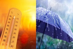 UP Monsoon 2025: 17 जून से भीषण गर्मी और लू से मिलेगी राहत, मौसम विभाग आया नया
अपडेट - image