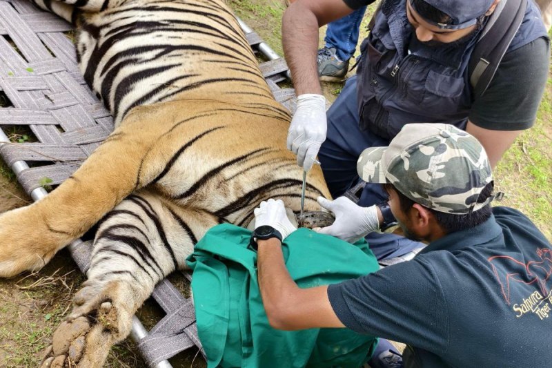 ramgarh tiger reserve