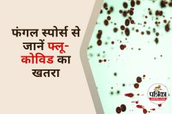 Airborne Fungal Spores : अब फंगल स्पोर्स बताएंगे, कब आएगी कोविड-फ्लू की नई लहर - image