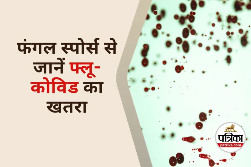 Airborne Fungal Spores