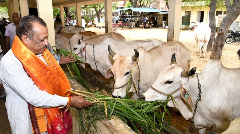 पशुपालन मंत्री ने किया लंपी रोग प्रतिरोधक टीकाकरण अभियान का शुभारंभ। फोटो-पत्रिका