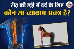 Yoga for Spine: रीढ़ की हड्डी में अकड़न या दर्द? ये 5 असरदार योगासन से मिल सकती
है राहत - image