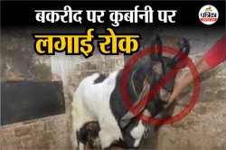 ‘बकरीद पर कुर्बानी नहीं देंगे’, 99% आबादी वाले मुस्लिम देश का चौंकाने वाला फैसला - image