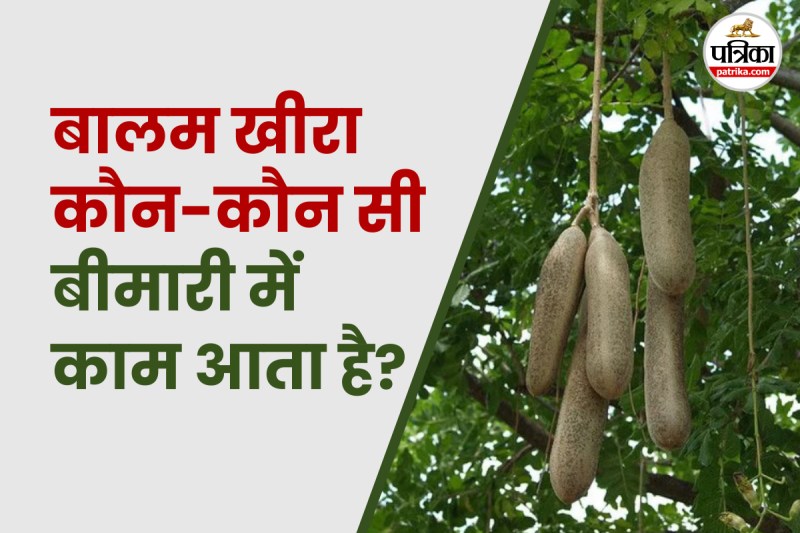 Health benefits of Balam Kheera