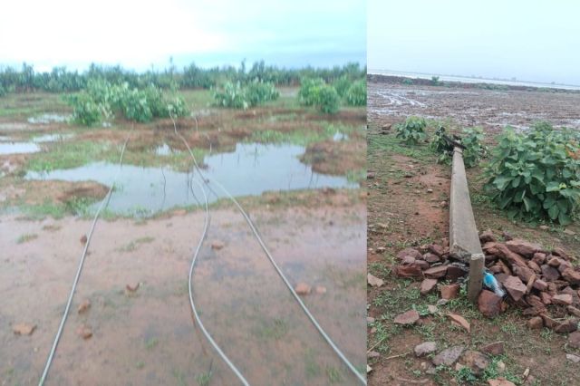 Flood-like conditions in Rajasthan