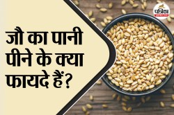 Barley Water Benefits: डाइजेशन से लेकर स्किन तक, जौ का पानी पीने के हैं कई फायदे - image