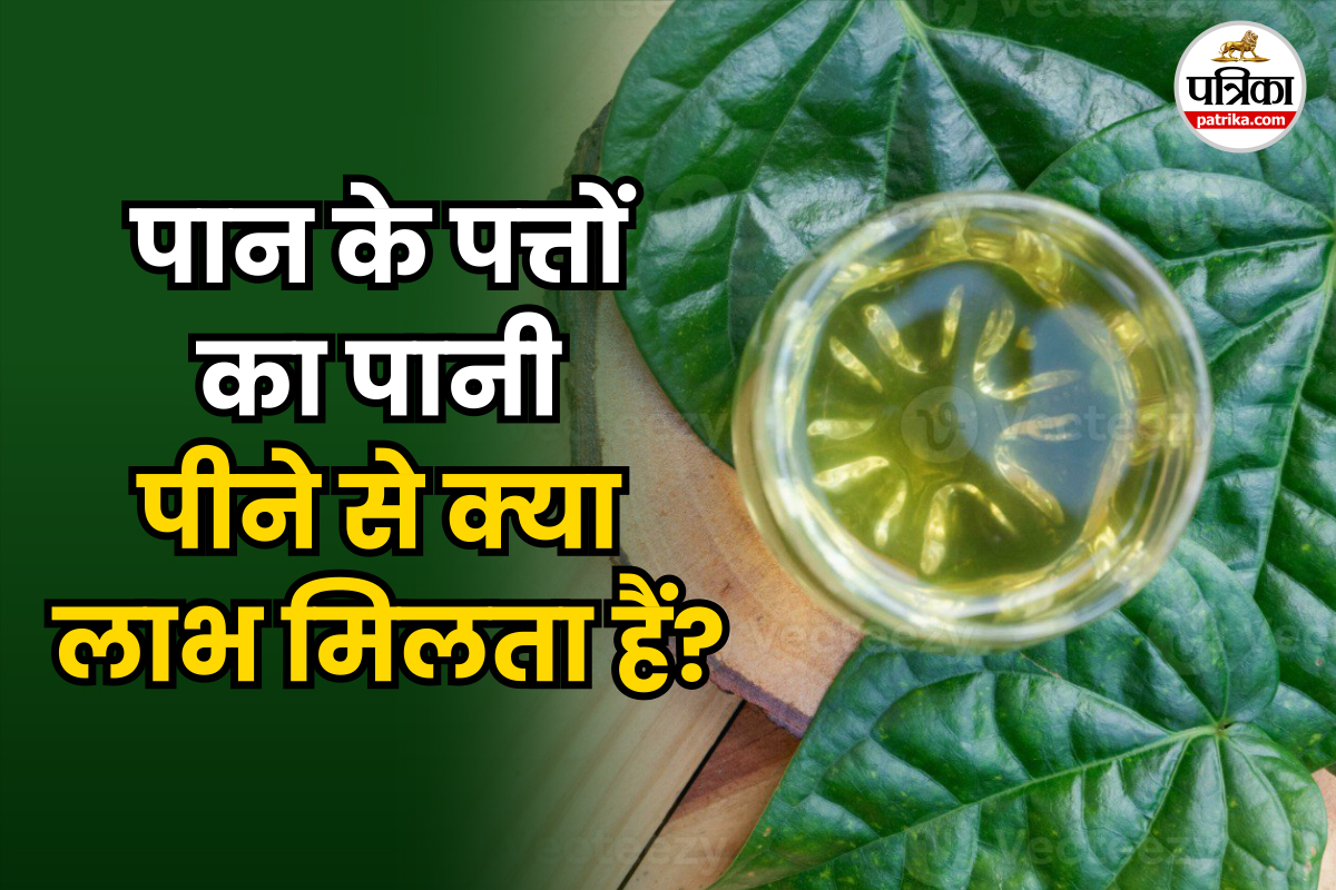 Benefits Of Betel Leaves Water
