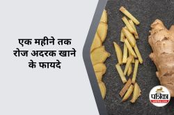 Benefits of Eating Ginger Daily : एक महीने तक रोज अदरक खाने से आपके शरीर में
क्या होगा? - image
