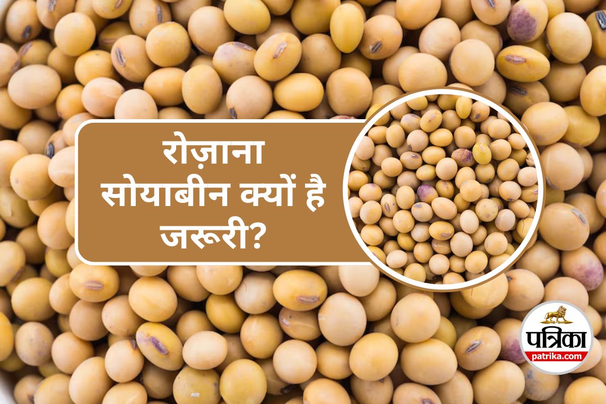 Benefits of Eating Soybeans : हर दिन सोयाबीन खाने के 10 जबरदस्त फायदे