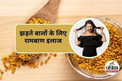 Benefits of Fenugreek for Hair : अगर आपके बाल झड़ रहे हैं, तो ये नुस्खा जरूर
आज़माएं - image