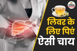 Best Tea For Liver: ग्रीन टी या दूध वाली चाय, लिवर के लिए बढ़िया चाय कौन-सी है? - image