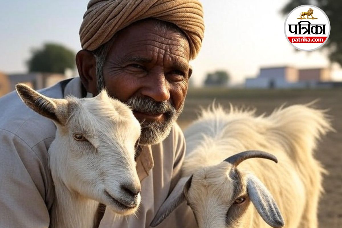 Bihar Bakri Palan Yojana 2025