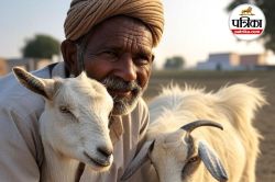 Bihar Bakri Palan Yojana 2025: बकरी पालन के लिए बिहार सरकार दे रही 7 लाख रुपया
तक अनुदान, जानें योजना डिटेल्स और आवेदन प्रक्रिया - image