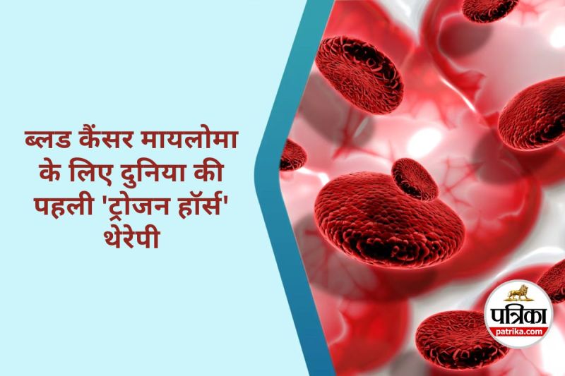 Blood Cancer Therapy