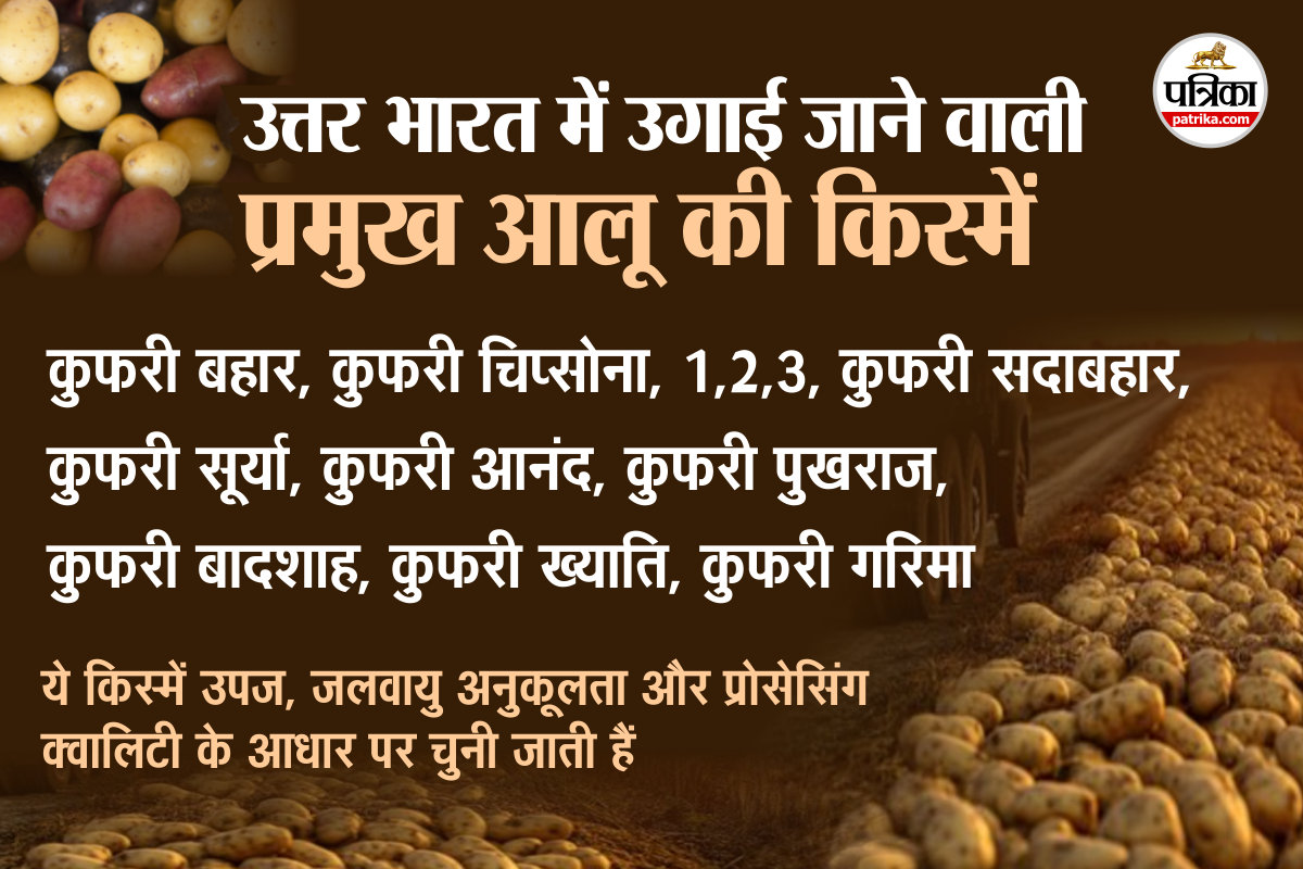  ब्रज का आलू अब ग्लोबल ब्रांड बनेगा। 