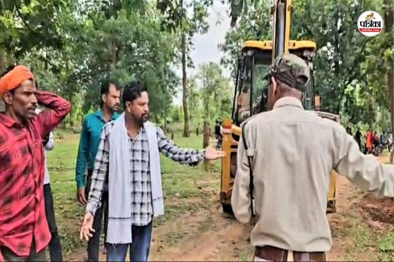 Bulldozer action on forest land